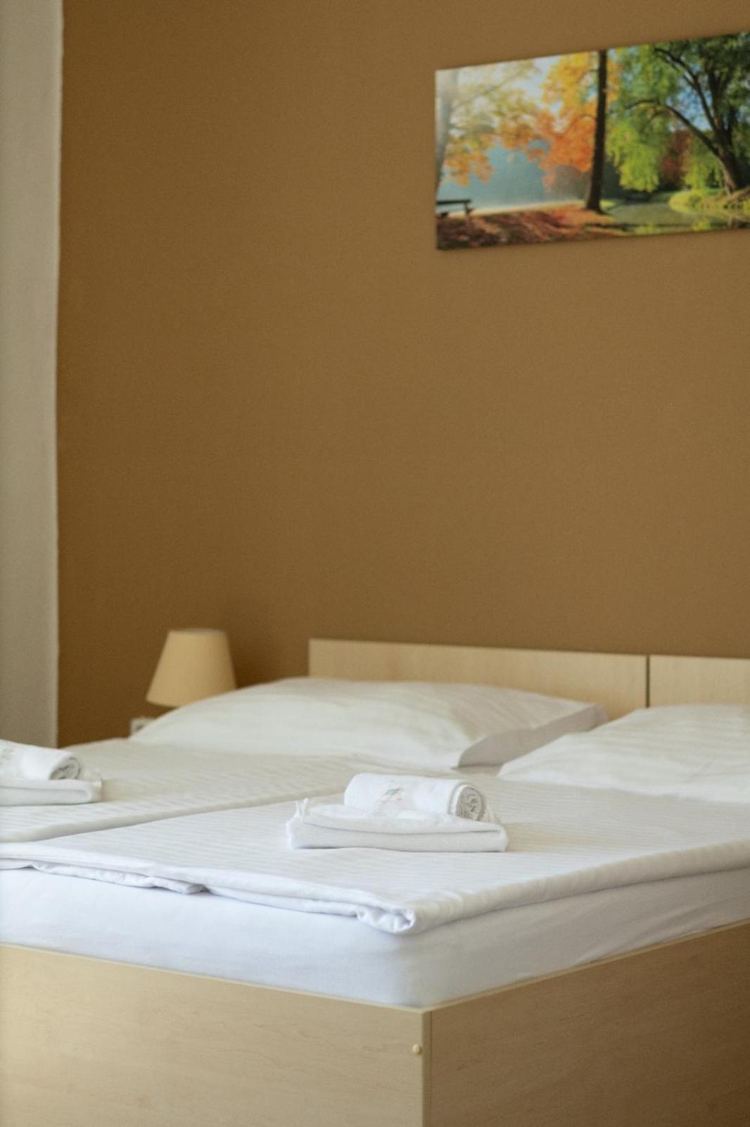 Pension Fontana Podebrady Ngoại thất bức ảnh