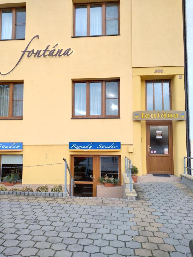 Pension Fontana Podebrady Ngoại thất bức ảnh